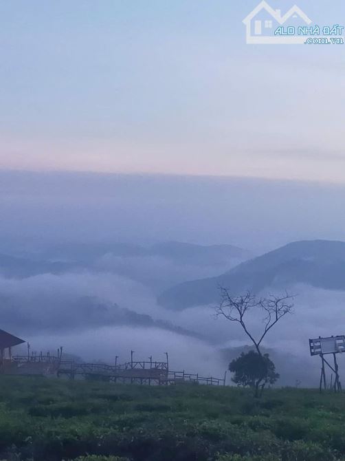 BÁN 2 LÔ ĐẤT ĐẸP TẠI PHƯỜNG 7, ĐÀ LẠT - 3