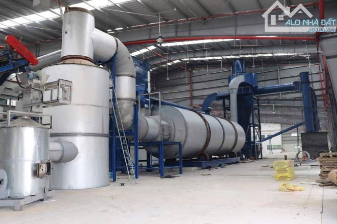 X104 bán nhà xưởng sản xuất gỗ công nghiệp , khung thép kiện cố - 3