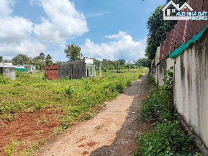 SỈ 3 LÔ ĐẤT 1000M2_12002 ĐƯỜNG BÊ TÔNG 5M GIÁ 2,3 TỶ - 3