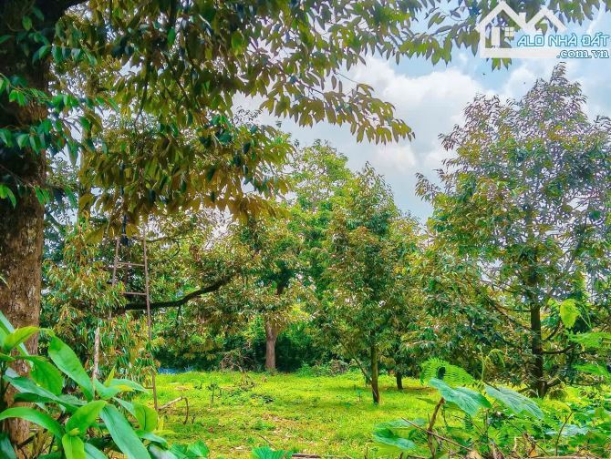 NHÀ VƯỜN CÂY ĂN TRÁI VIEW SUỐI, SẴN THỔ CƯ, KẾ BÊN CÁC KHU NGHỈ DƯỠNG, NHÀ VƯỜN ĐẸP - 3