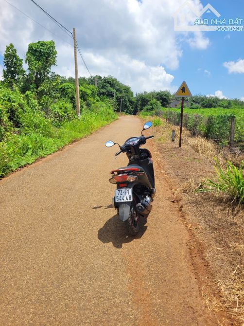 NHÀ VƯỜN + VƯỜN CÂY ĂN TRÁI 2 MẶT TIỀN VIEW SUỐI, SẴN THỔ CƯ, LIỀN KỀ CAO TỐC, GIÁ SIÊU RẺ - 3