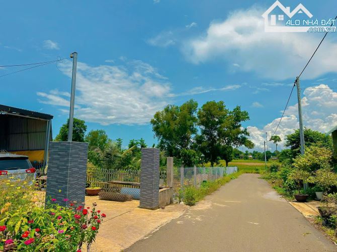 LÔ ĐẤT CÓ NHÀ VIEW RUỘNG LÚA CỰC ĐẸP CẠNH THỊ TRẤN NGÃI GIAO, PHỦ HỒNG, GIÁ BÁN CỰC RẺ - 3