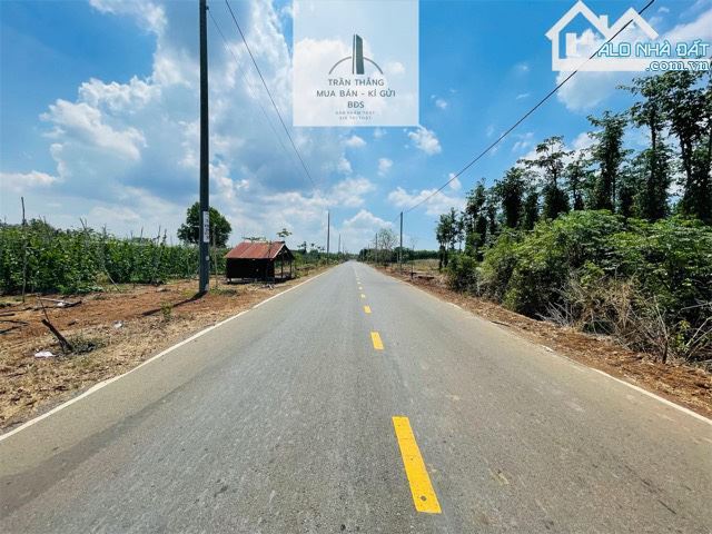 Đất xã Bình Trung mặt tiền đường chính rộng 10m - có 200m thổ cư - 3
