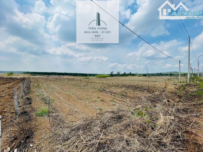 Bán Đất MT Xuân Sơn - Đá Bạc Thích Hợp Làm Xưởng, Kho Bãi. - 3