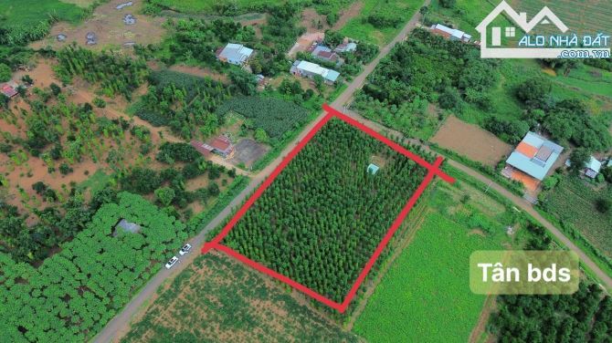 Đất gần view hồ Đá Bàng, xã Đá Bạc, Huyện Châu Đức, 5x33x80tc giá chỉ 680 trieu - 3