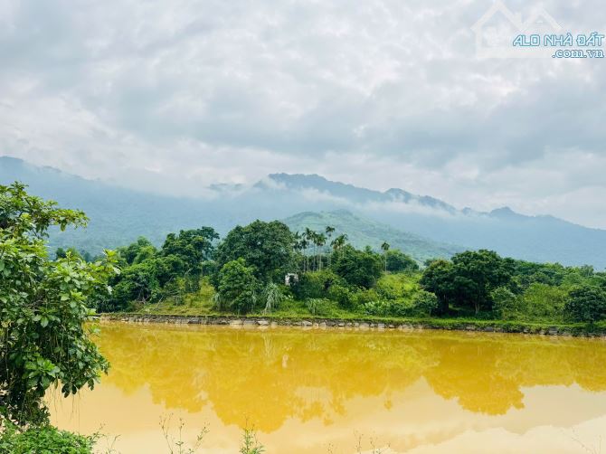 2,8HA ( 2000M2 ĐẤT Ở ) TRONG ĐẤT CÓ HỒ CÓ SUỐI THẾ ĐẤT CỰC ĐẸP - 3