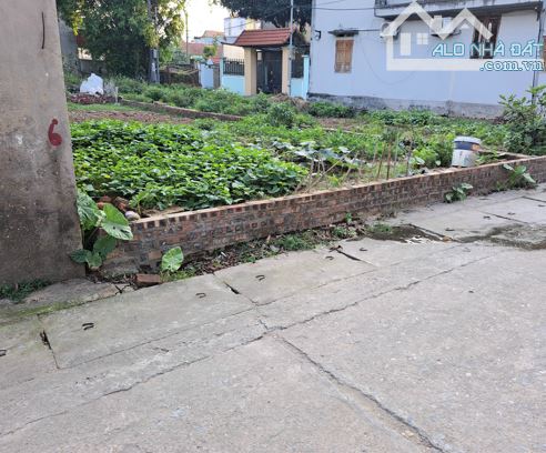 BÁN ĐẤT QUANG MINH – MÊ LINH – TỔ 5 – ĐƯỜNG THÔNG Ô TÔ TRÁNH ĐỖ – CHỈ HƠN 3 TỶ - 3
