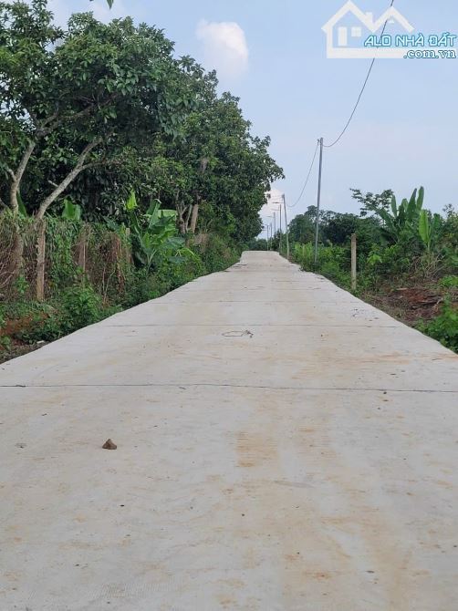 Bán vườn trái cây khoảng hơn 1 mẫu 9 sẵn 300tc hơn 400m mặt tiền đường bê tông.Giá 15ty500 - 4