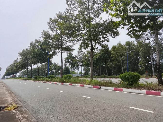 🔥 ĐẤT NỀN MỸ PHƯỚC 3 – MẶT TIỀN VÀNH ĐAI 4 – GIÁ CHỈ TỪ 690 TRIỆU SỞ HỮU NGAY 🔥 - 4