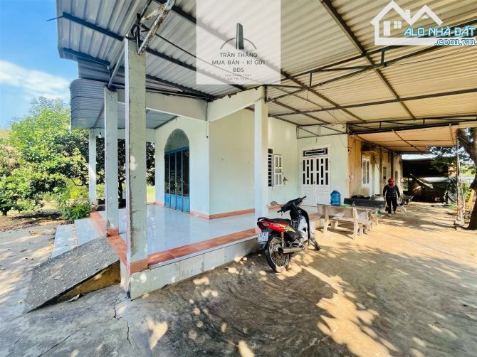 Đất Mẫu có Thổ cư -  nhà - Vườn Cây Ăn Trái thích hợp nghĩ dưỡng - 4