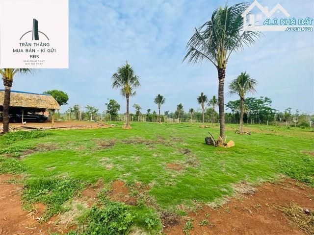 Đất View Hồ Sông Ray Giáp mặt nước - 4