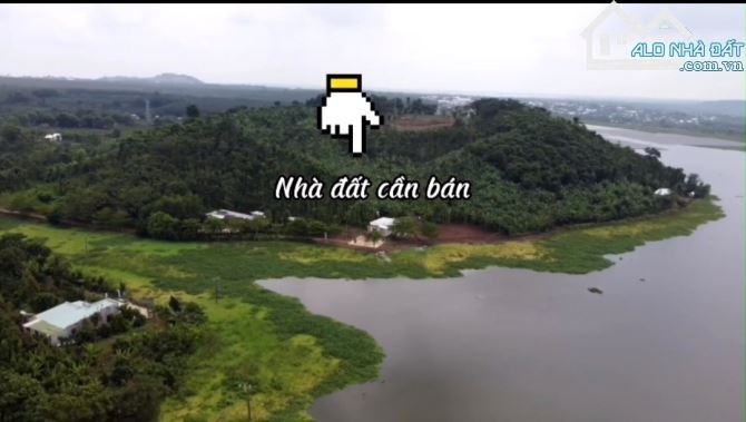 Cần bán 16000m2 có 300tc view hồ quãng thành châu đức brvt. - 4