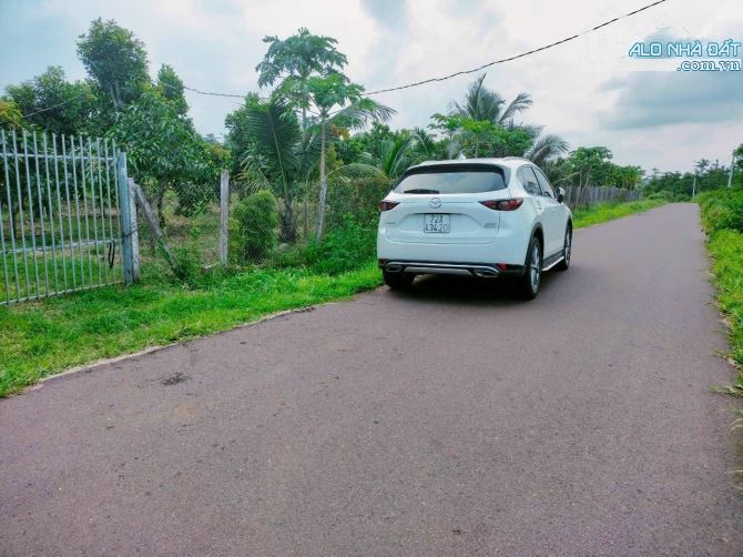 GIẢM MẠNH 50% BÁN 2 MẪU ĐẤT CÓ 2 MT ĐƯỜNG NHỰA, VIEW SUỐI, CÁCH VÒNG XOAY ĐÁ BẠC 800M - 4
