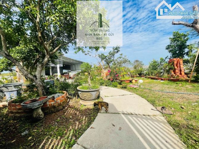 Nhà Vườn Xã Đá Bạc - Góc 2 MT - Có Thổ Cư - Chủ Để Lại Toàn Bộ Cây Cảnh - 4