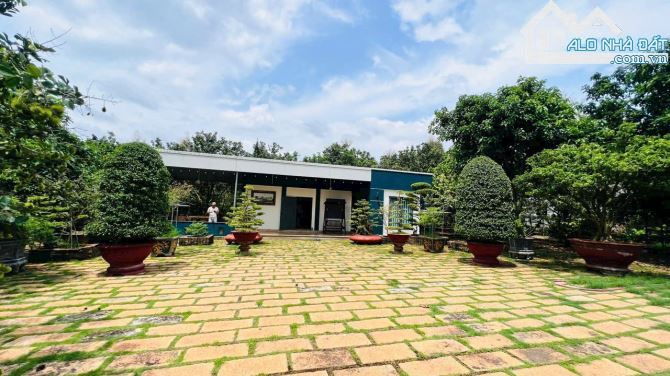 Bán nhà đất vườn trái cây 64x85m gần chợ long phước - 4