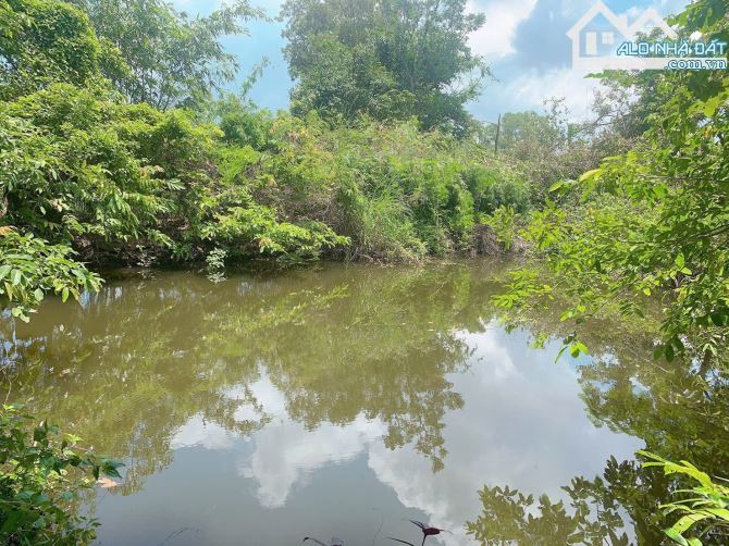 Bán khoảng 3 sào 3 (3308m2) đất xã Đá Bạc, huyện Châu Đức, BRVT. - 4