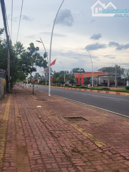 Bán đất quốc lộ 56 thị trấn ngãi giao 6000m2 150 thổ cư giá 60ty. - 4