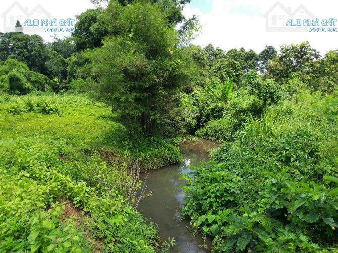 Bán khoảng 3 mẫu (30.193m2) đất Kim Long, huyện Châu Đức, BRVT. - 4