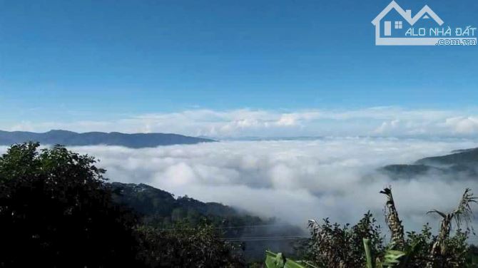BÁN 2 LÔ ĐẤT ĐẸP TẠI PHƯỜNG 7, ĐÀ LẠT - 4