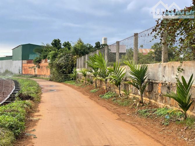 Bán đất hẻm gần trường đại học tây nguyên - 586 triệu - 4