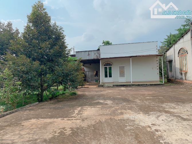 Bán khoảng 9 sào (9056m2) đất Bàu Chinh, huyện Châu Đức, BRVT. - 4