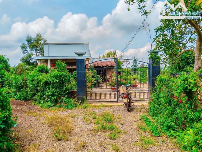 Cần bán vườn cây trái 5.069m2 sẵn 300m2 thổ cư, nhà cấp 4, mặt tiền đường mở rộng - 4