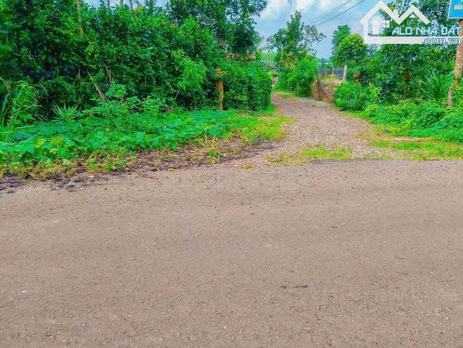 NHÀ VƯỜN CÂY ĂN TRÁI VIEW SUỐI, SẴN THỔ CƯ, KẾ BÊN CÁC KHU NGHỈ DƯỠNG, NHÀ VƯỜN ĐẸP - 4