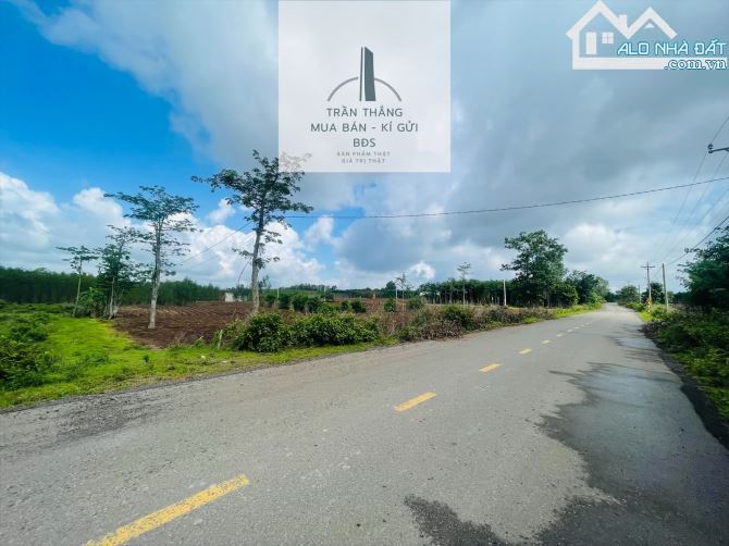 Đất xã Bình Trung - Đường Xe Contener - Thích Hợp Làm Xưởng & Kho Bãi - 4