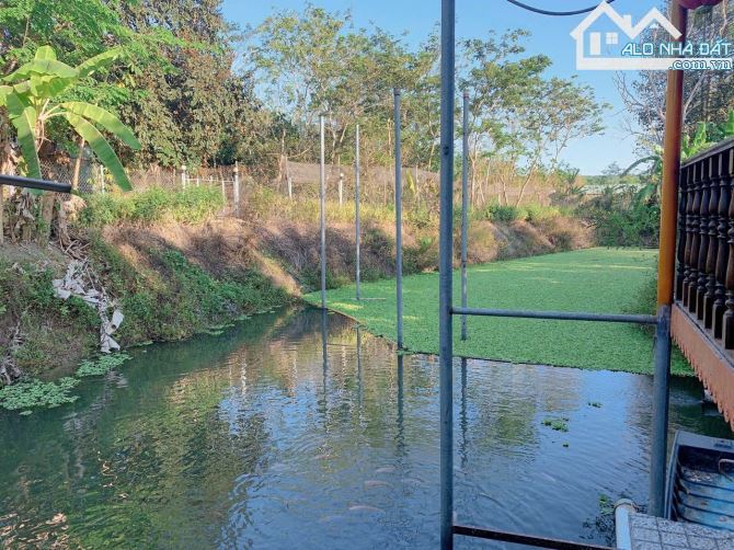 Bán khoảng 6 sào 1 (6115m2) đất Đá Bạc, huyện Châu Đức, BRVT. - 4