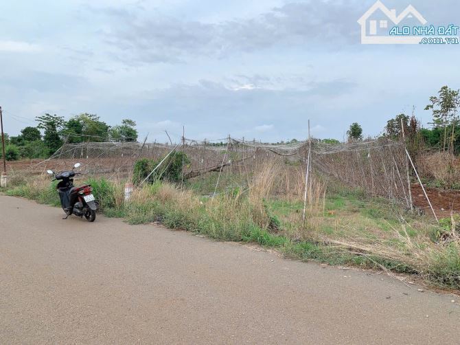 Bán khoảng 4 sào 8 (4793m2) đất Đá Bạc, huyện Châu Đức, BRVT. - 4