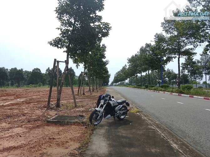 🔥 ĐẤT NỀN MỸ PHƯỚC 3 – MẶT TIỀN VÀNH ĐAI 4 – GIÁ CHỈ TỪ 690 TRIỆU SỞ HỮU NGAY 🔥 - 5