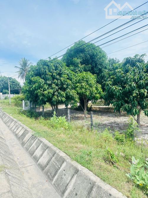 BÁN ĐẤT MẶT TIỀN QUỐC LỘ 1A – CAM HẢI TÂY, CAM LÂM - 5