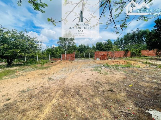 10 Mẫu Đất View Hồ - Có 300m Thổ Cư - Giáp Nước - 1.000m Mặt Tiền Đường Nhựa - 5