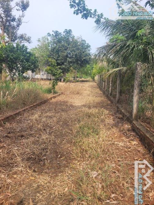 Cần bán 3059m2 sẵn 200tc gần khu công nghiệp sonadezi ngay trung tâm xã SUỐI NGHỆ. - 5