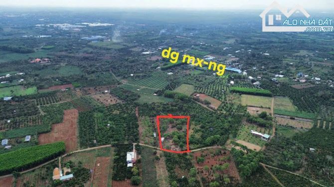 Bán khoảng 6 sào (6037m2) đất Láng Lớn, huyện Châu Đức, BRVT. - 5