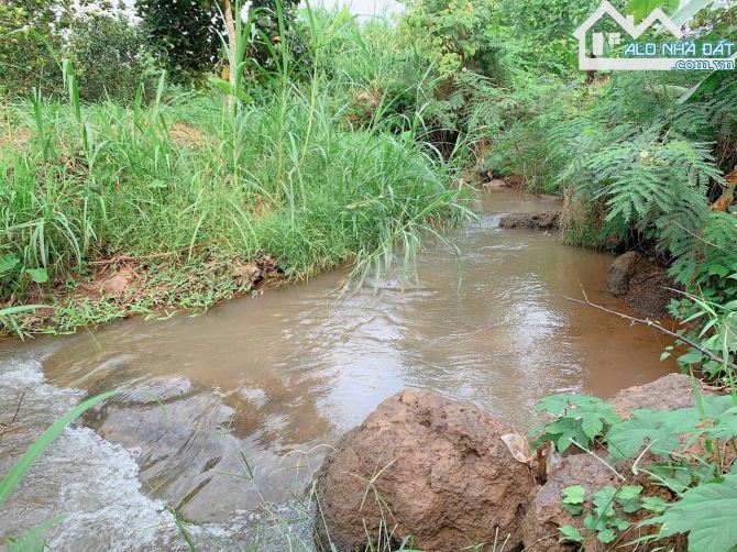 Bán khoảng 4 sào 4 (4435m2) đất Láng Lớn, huyện Châu Đức, BRVT. - 5