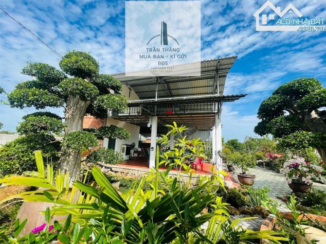 Nhà Vườn Xã Đá Bạc - Góc 2 MT - Có Thổ Cư - Chủ Để Lại Toàn Bộ Cây Cảnh - 5