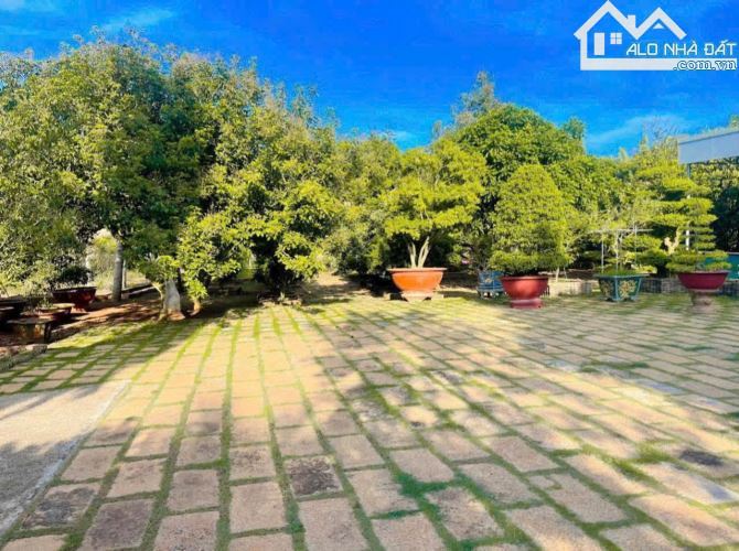 Bán nhà đất vườn trái cây 64x85m gần chợ long phước - 5