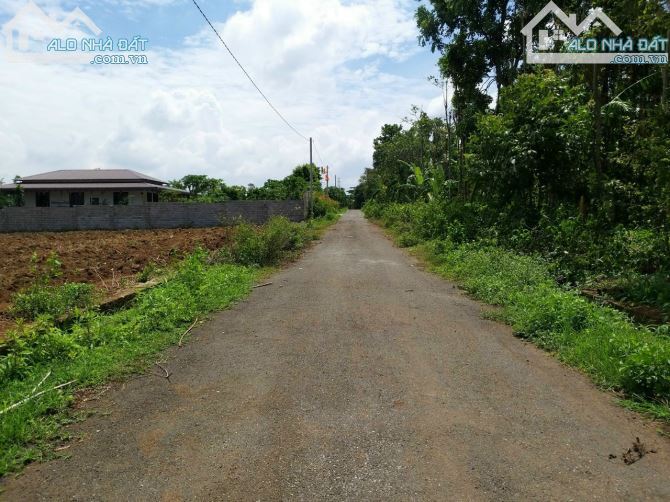 Bán khoảng 3 mẫu (30.193m2) đất Kim Long, huyện Châu Đức, BRVT. - 5