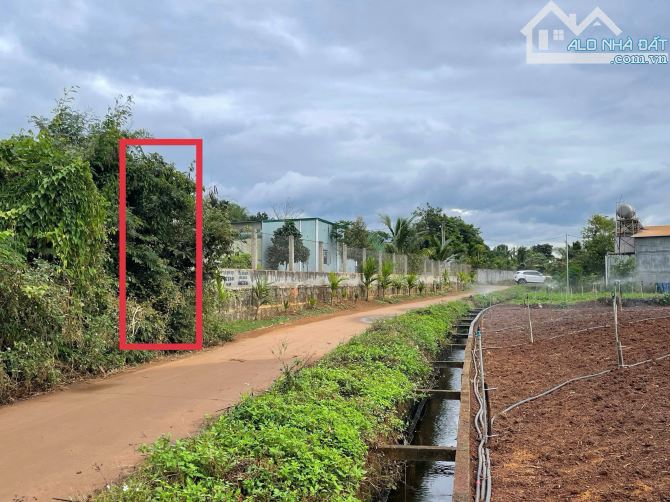 Bán đất hẻm gần trường đại học tây nguyên - 586 triệu - 5