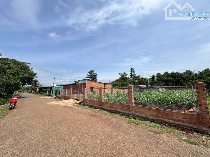 LÔ ĐẤT ĐẸP TRUNG TÂM BÀU LÂM-TPHCM, DÂN CƯ ĐÔNG, BÁN KÍNH 500M TIẾP CẬN MỌI TIỆN ÍCH - 5