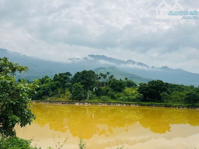 2,8HA ( 2000M2 ĐẤT Ở ) TRONG ĐẤT CÓ HỒ CÓ SUỐI THẾ ĐẤT CỰC ĐẸP - 5