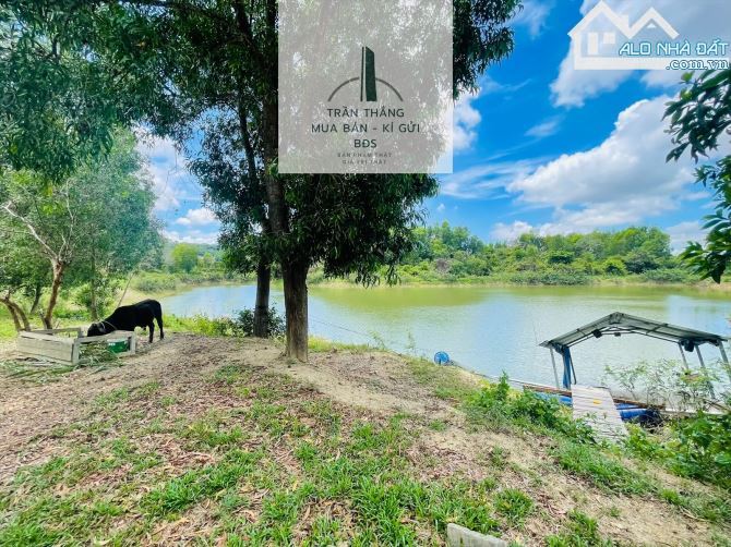 10 Mẫu Đất View Hồ - Có 300m Thổ Cư - Giáp Nước - 1.000m Mặt Tiền Đường Nhựa - 6