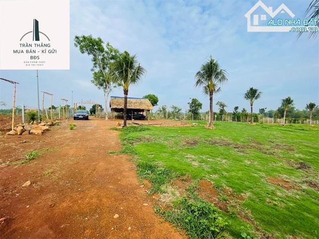 Đất View Hồ Sông Ray Giáp mặt nước - 6