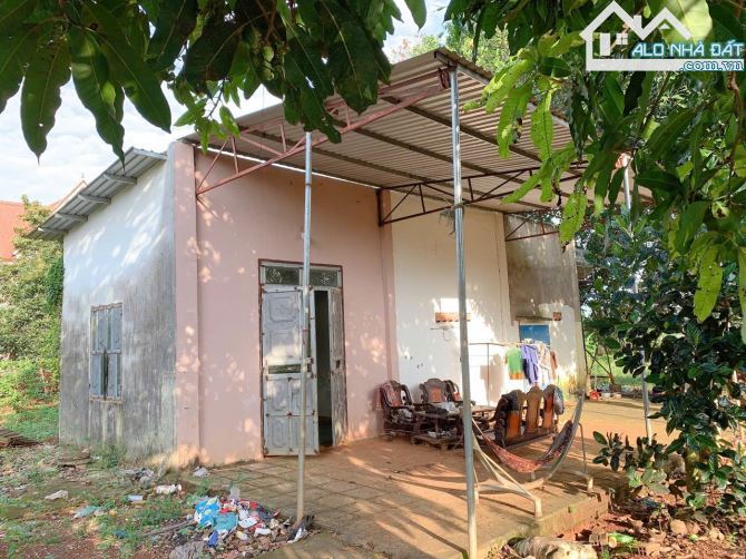 Bán khoảng 3 sào (2998m2) đất Láng Lớn, huyện Châu Đức, BRVT. - 6