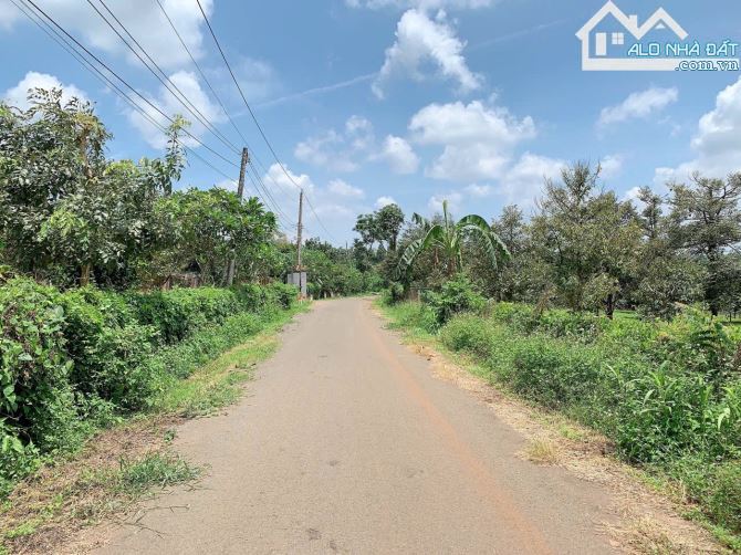 Bán khoảng 5 sào 7 (5681m2) đất Láng Lớn, huyện Châu Đức, BRVT. - 6