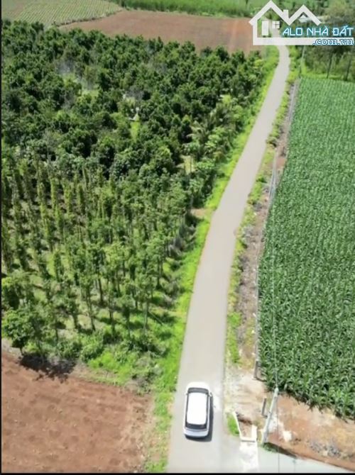 GIẢM MẠNH 50% BÁN 2 MẪU ĐẤT CÓ 2 MT ĐƯỜNG NHỰA, VIEW SUỐI, CÁCH VÒNG XOAY ĐÁ BẠC 800M - 6