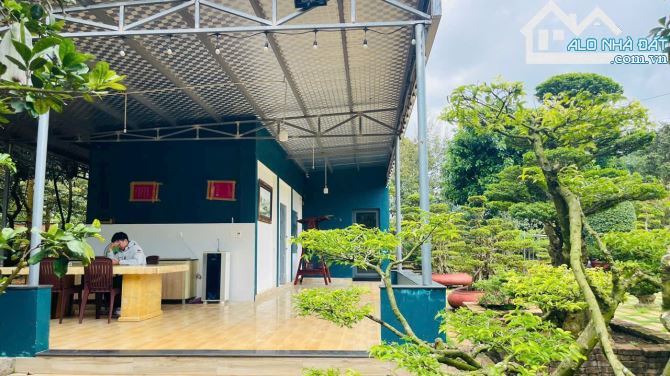 Bán nhà đất vườn trái cây 64x85m gần chợ long phước - 6