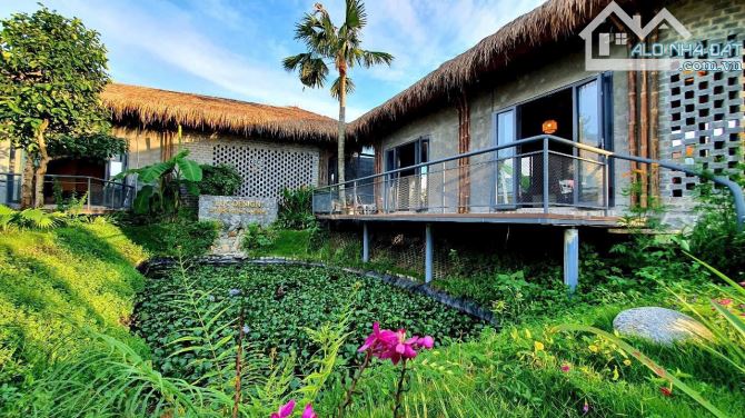 Bán khu vườn nghỉ dưỡng gần 1000m2 tuyệt đẹp Mặt Tiền Đường Long Chiến gần sông Đồng Nai - 6