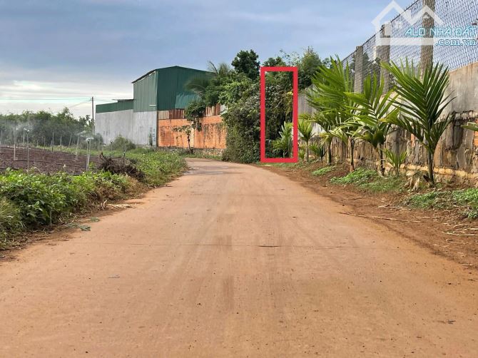 Bán đất hẻm gần trường đại học tây nguyên - 586 triệu - 6